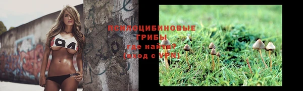 индика Арсеньев