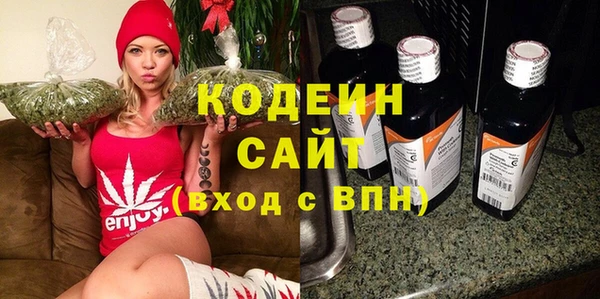 индика Арсеньев