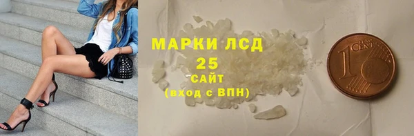 индика Арсеньев