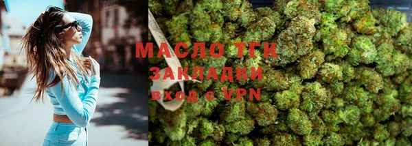 индика Арсеньев