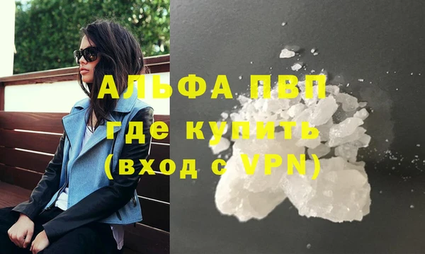индика Арсеньев