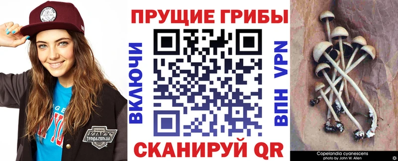 Псилоцибиновые грибы прущие грибы  Купить закладки  Лагань 